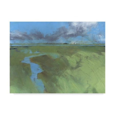 Paul Bailey 'Back Water High Tide' Canvas Art,18x24